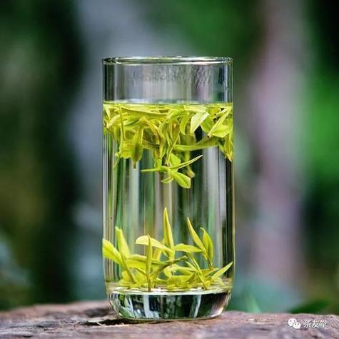 透明玻璃杯冲泡花草茶品鉴实拍