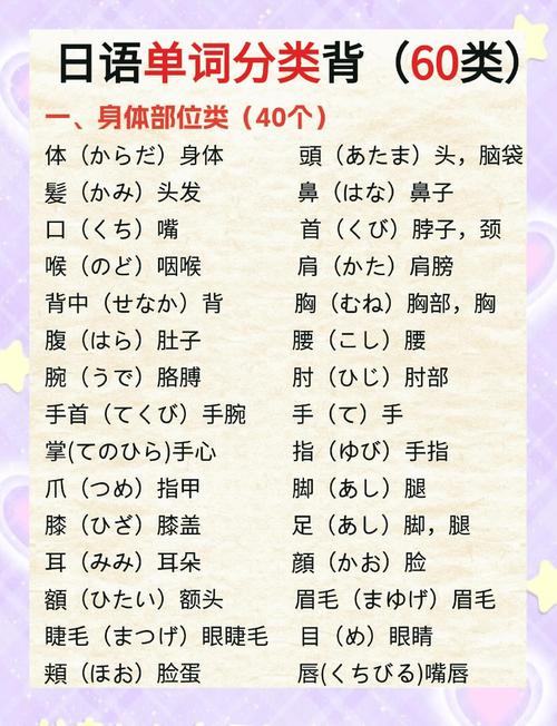 日语入门常用单词卡片示例