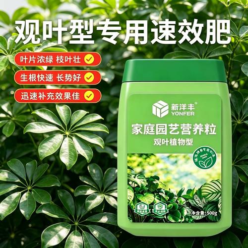 绿植缓释肥使用步骤示意图