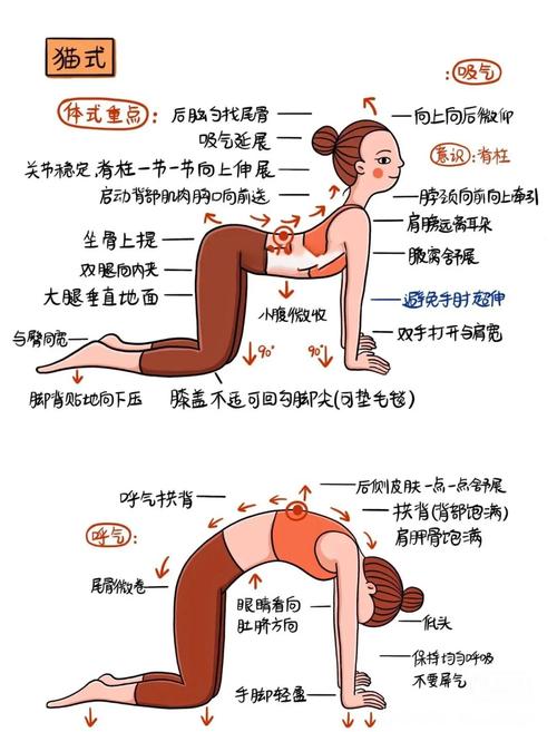 睡前在床上做猫牛式伸展的女性背部展示