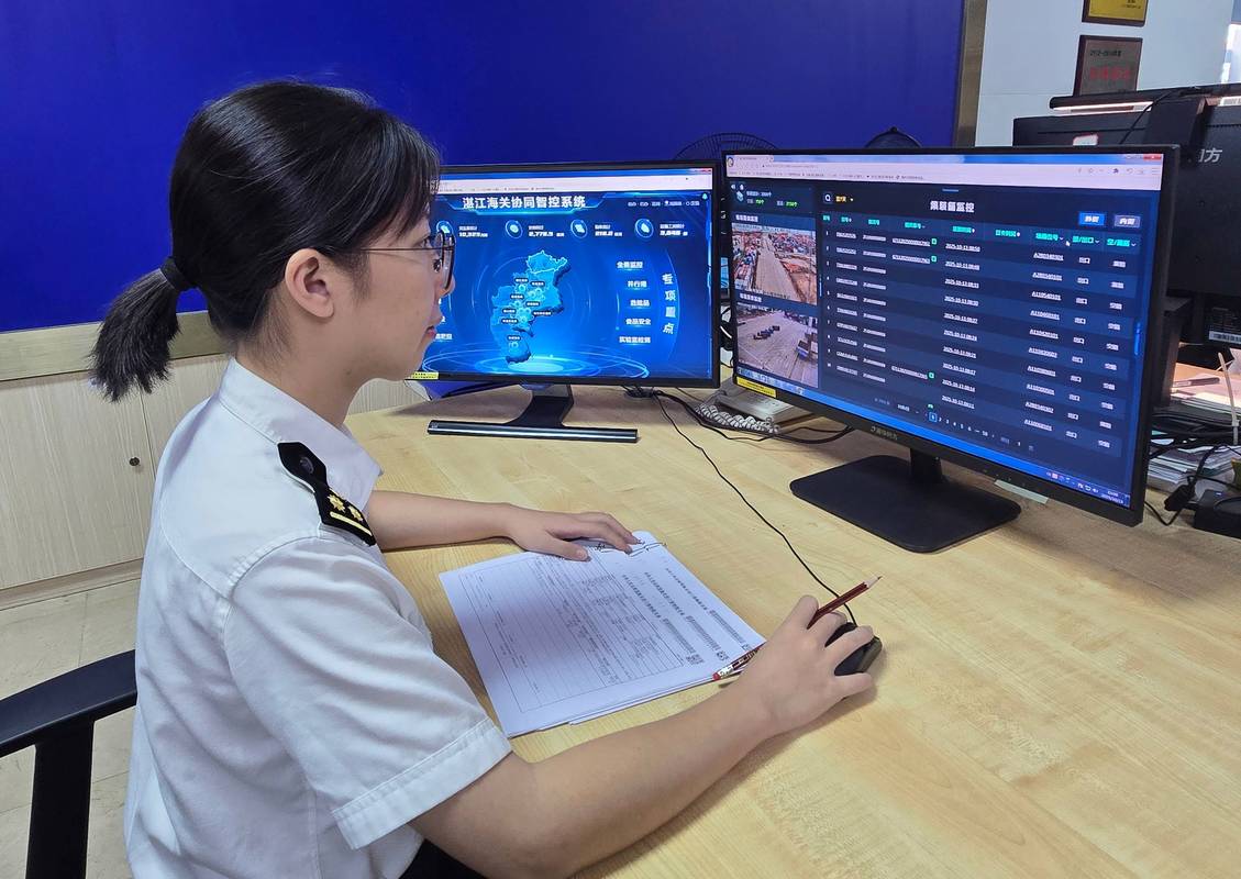 跨境软件出口海关申报窗口工作人员答疑场景