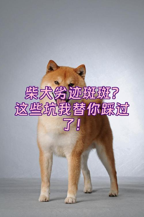 这些坑我替你踩过了