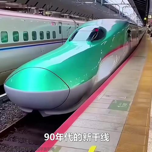 藏在自然里的金点子：那些意想不到的仿生设计应用