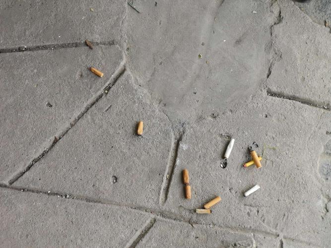 走廊蹲了一夜的烟蒂
