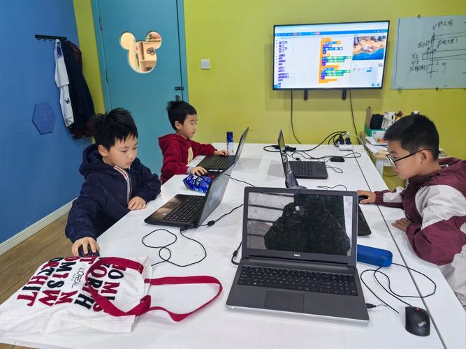 编程教育:孩子们真的需要学写代码吗?-如东教育网