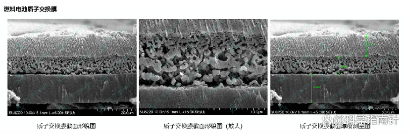 质子交换膜透氢失效剖面显微镜图