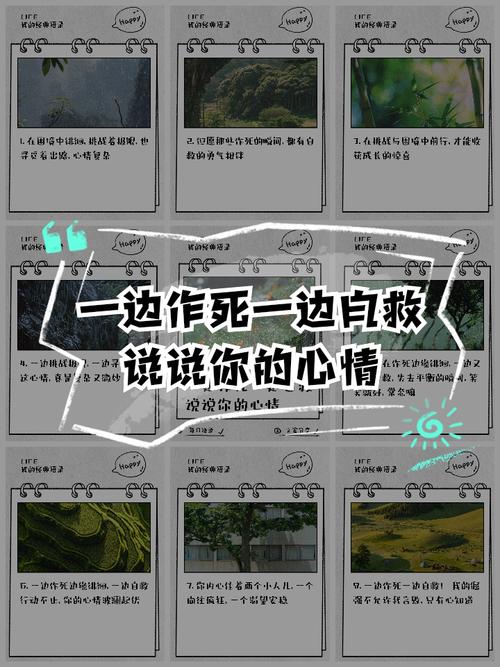孤岛求生：社交与情绪自救