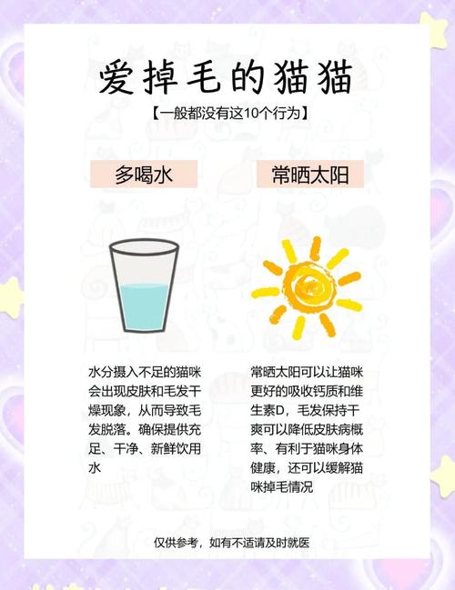 能让家里少点毛的实用办法