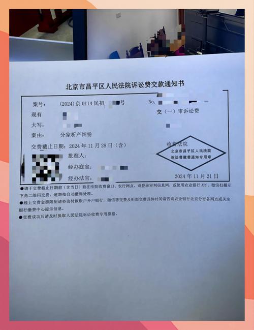 北京分家析产纠纷案件证据整理实拍图