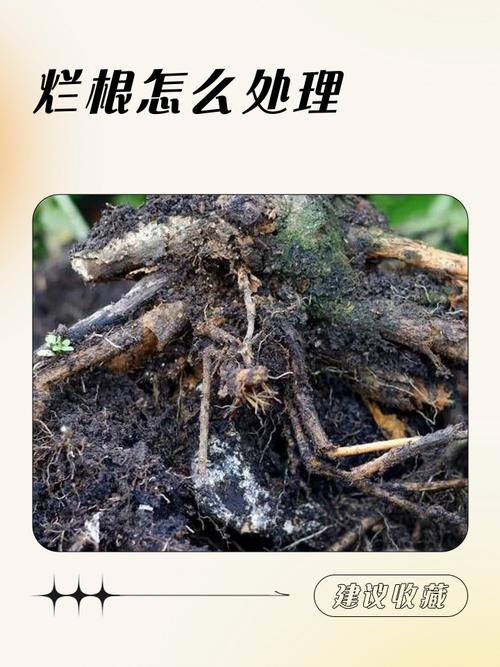 产业化绕不开的根上的硬伤