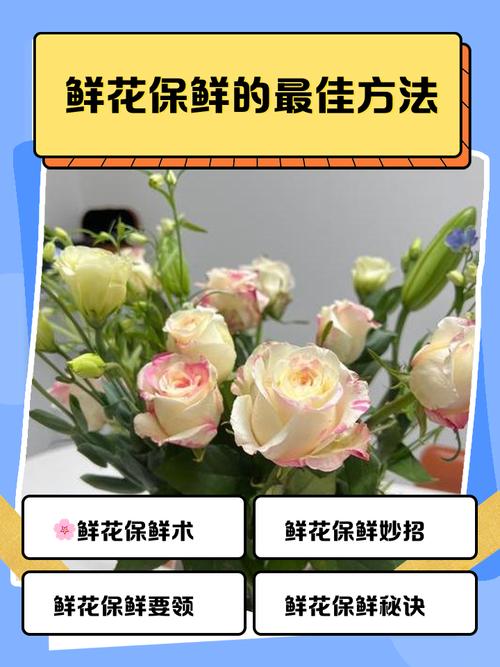 预算、保鲜和除味,鲜花搭配的终极心法