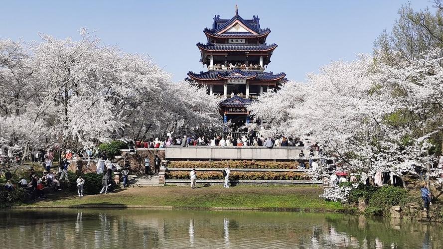 南漳鼋头渚春季河滩落英水景