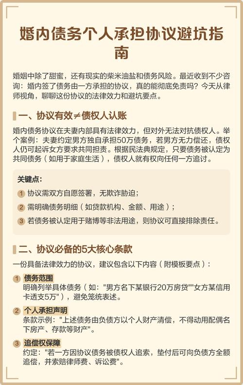 婚内个人债务认定常识手写笔记