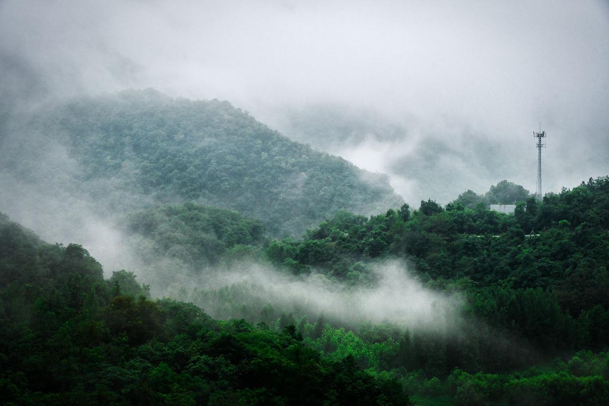 湖北南漳云台山水库晨雾湖景