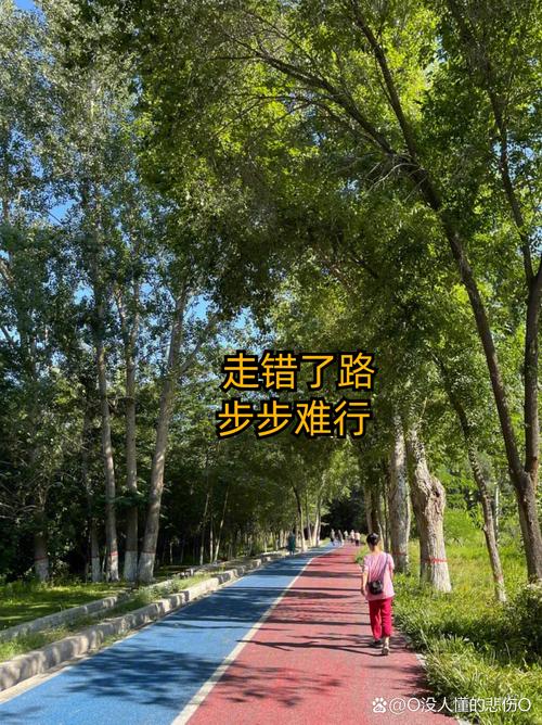 错的路走对了，也是收获