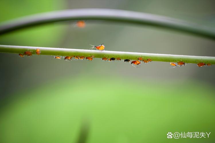 节气,可不止是日历上的符号-因为所以