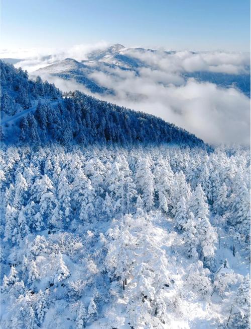 湖北神农架滑雪场冬季雾凇滑雪场景