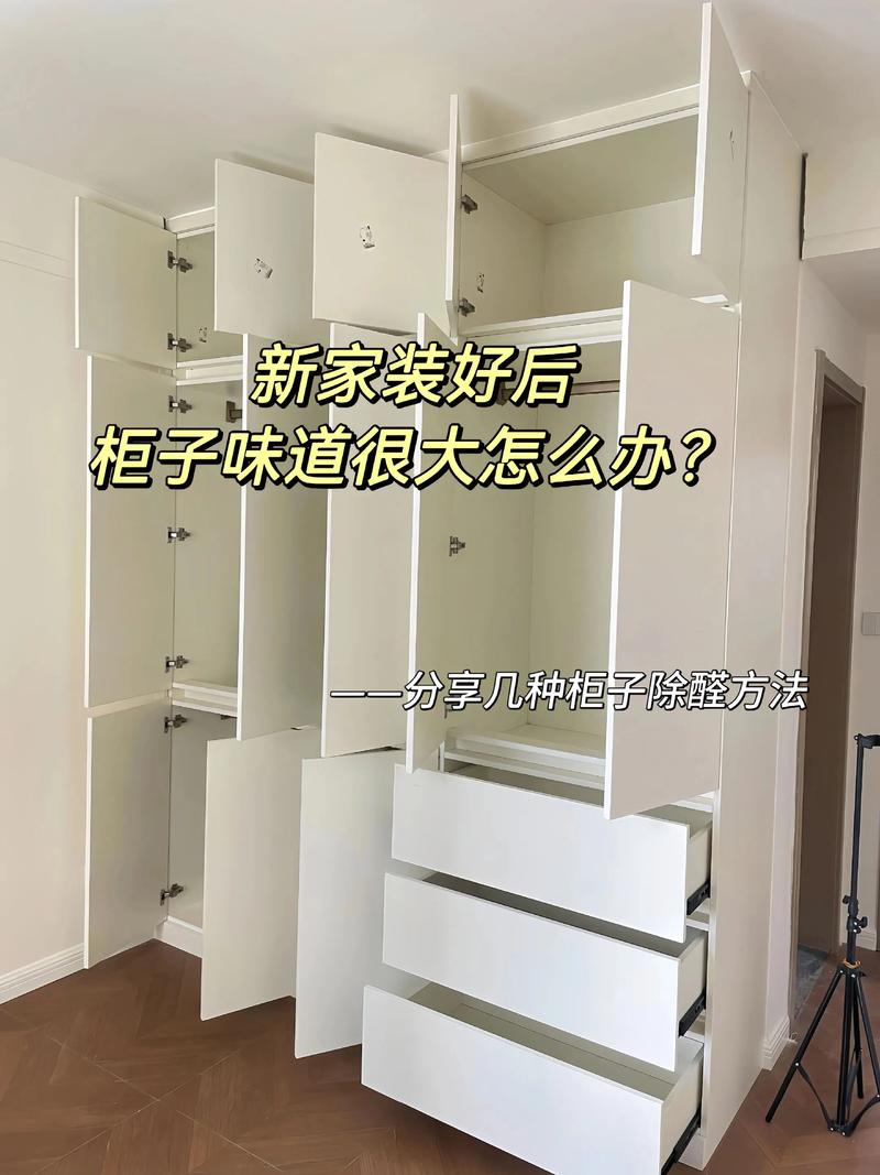 家装定制衣柜内部喷净味剂场景