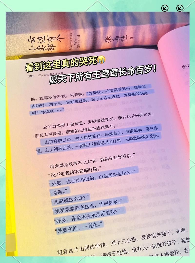 📚 最后扯几句私货推荐