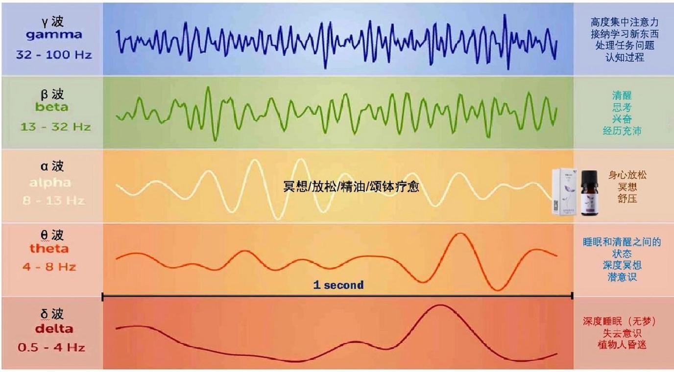 科隆设计学院青春触感实验脑电波图