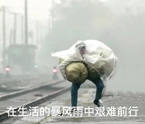 雨伞这玩意儿,从来不只是挡雨那么简单-因为所以