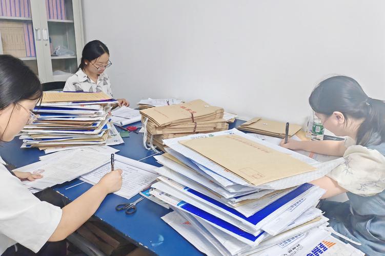 应届生书桌整理分类求职材料场景图