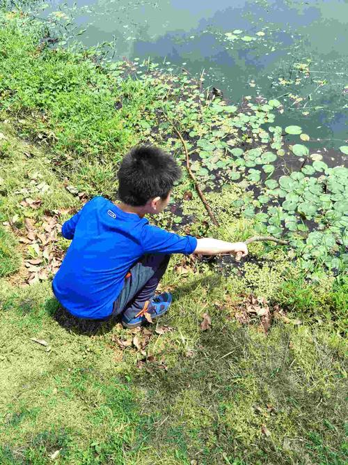 城市小区河边蹲守观察淡水生态的小男孩