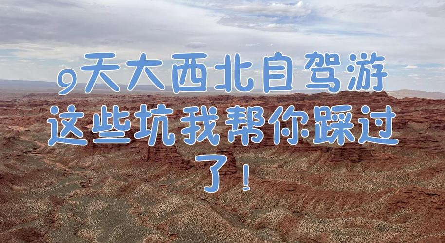 自驾这些坑,我替你踩过了
