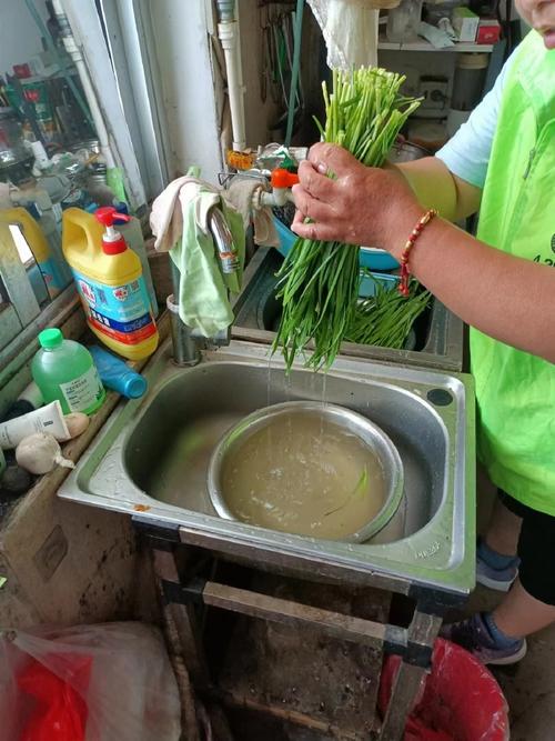 流动清水冲洗绿叶菜根部场景图