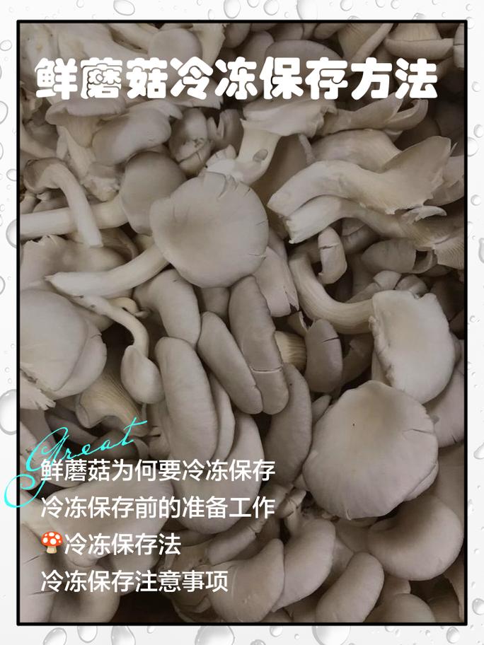 储存菌菇，别全往冰箱塞