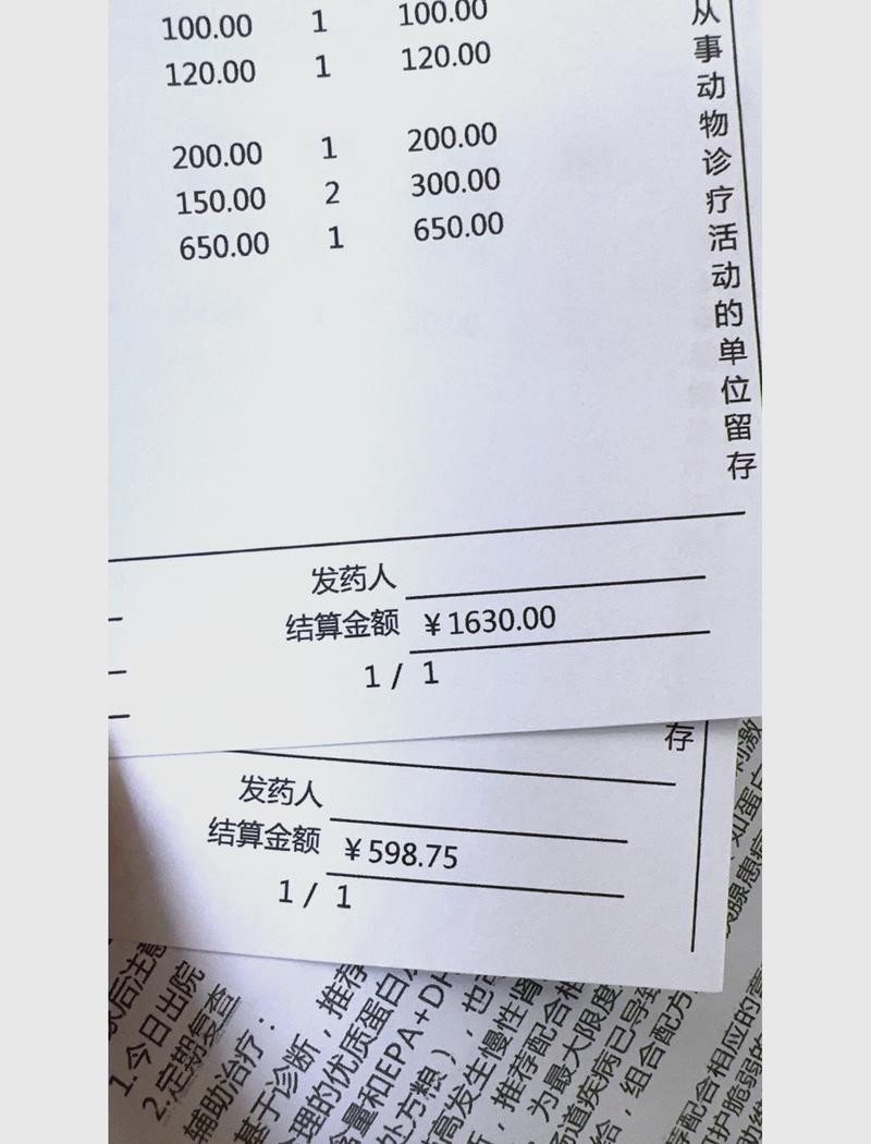 养宠人核对宠物保险报销账单实拍