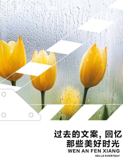 那些被我们忽略的慢时光