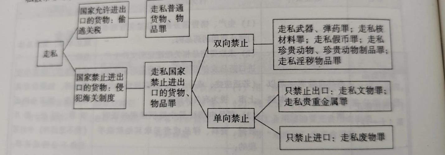 天津走私犯罪案件核心辩点梳理思维导图