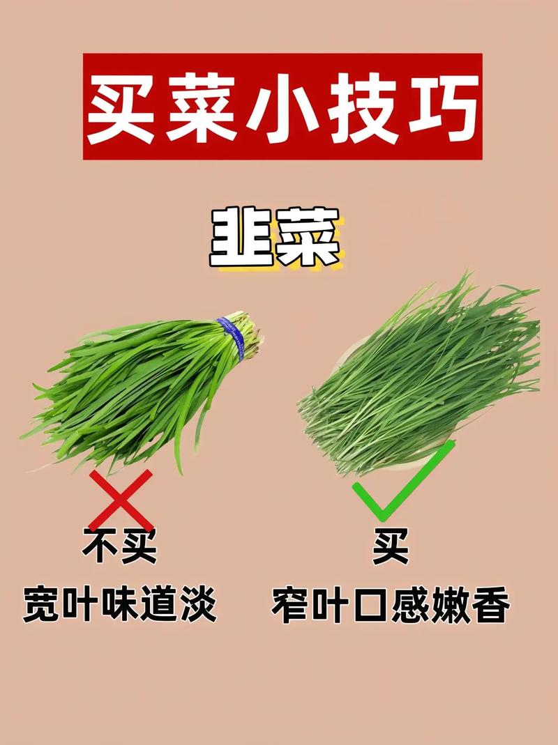 不同情况怎么选?按这个来不会错