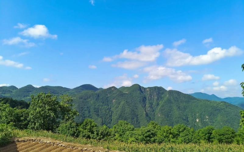 南漳薛坪镇漳河源头清透山溪与岸边草甸