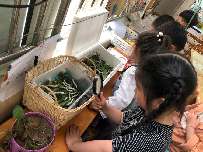 中学生蹲在教学楼走廊盯着餐巾纸上的蚕宝宝的场景