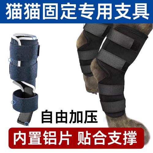 宠物腿部骨折临时夹板固定示范