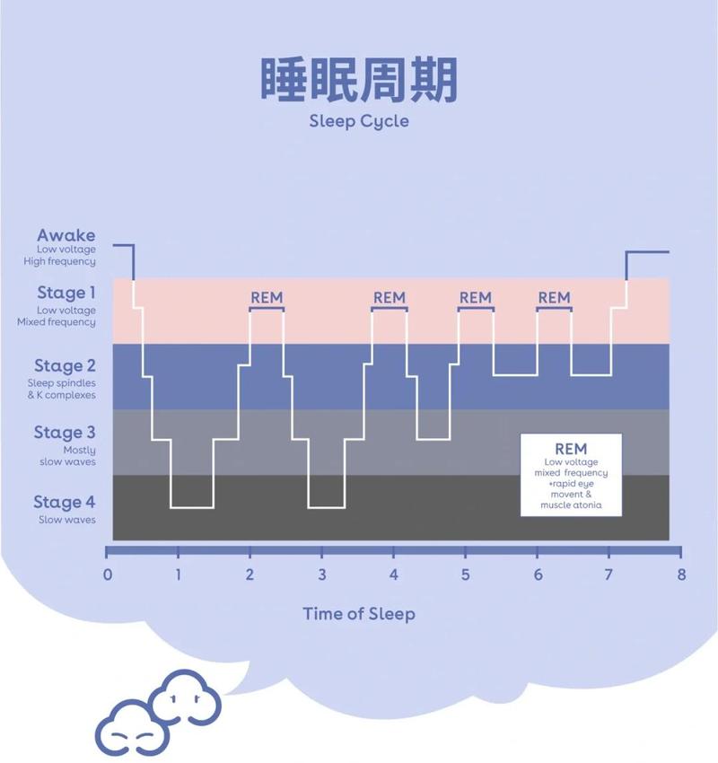午后短时休息与晚间睡眠关系时间轴图