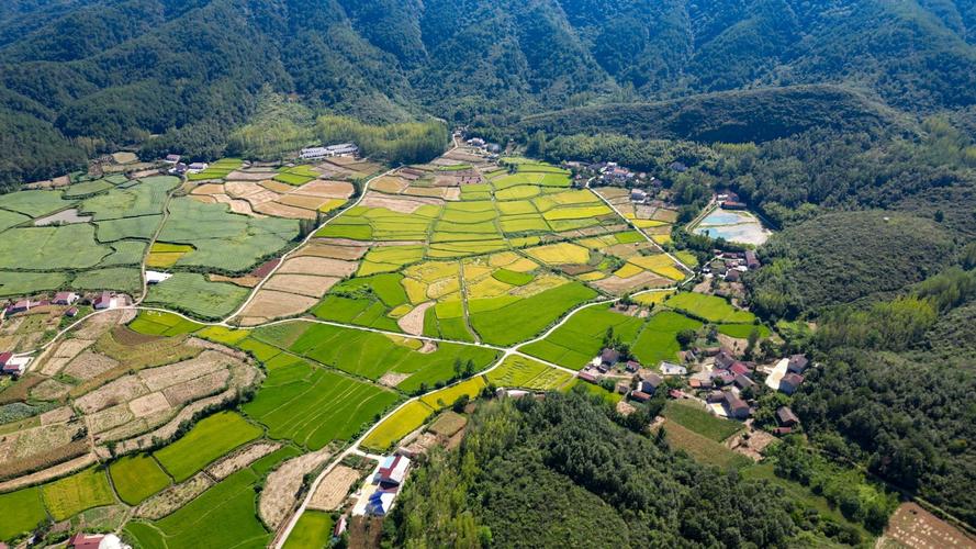 湖北南漳东巩荆山山地稻田风光