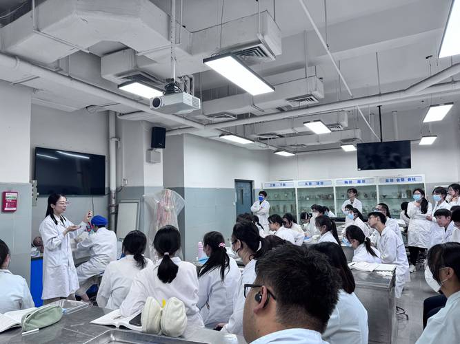 高校医学生虚拟仿真解剖教学课堂