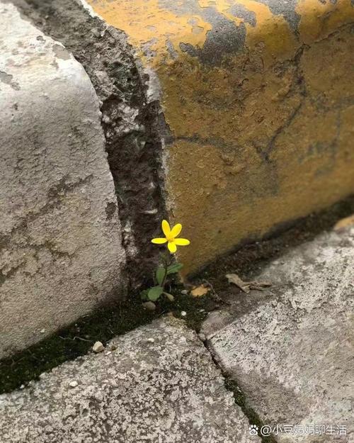 填不上的生活缝隙