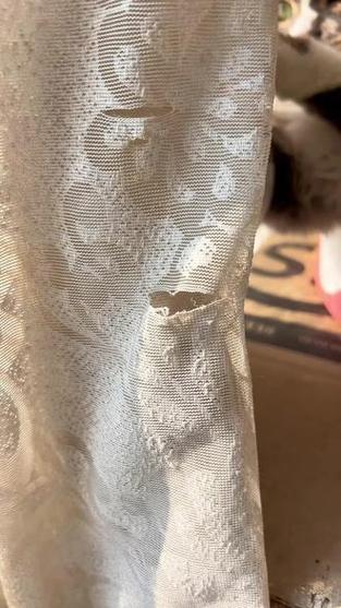 猫咪抓坏铝百叶帘叶片惨烈实拍