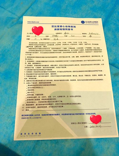 宠物医院狗狗绝育手术前麻醉评估知情同意书