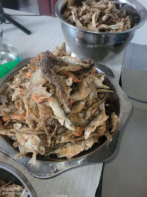 南漳峡门口水库旁农家馆现炸漳河小麻鱼