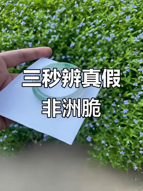 别交智商税：怎么辨真假非洲标准？
