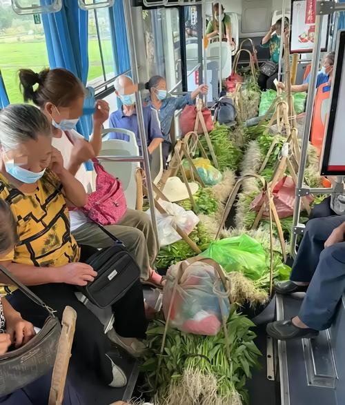 拎着青菜的老年乘客公交车扶手站立图