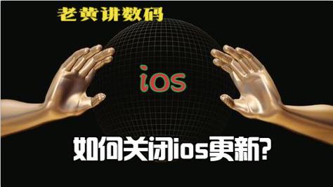 怎么找到适配自己的更新节奏