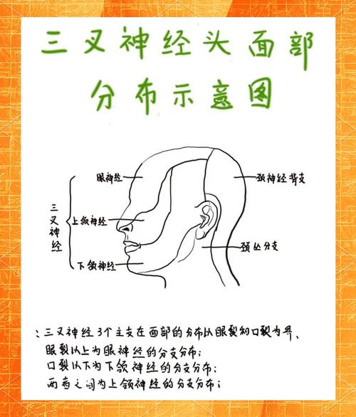 三叉神经痛的冷热刺激避免:日常养护的实用心得-仁者医