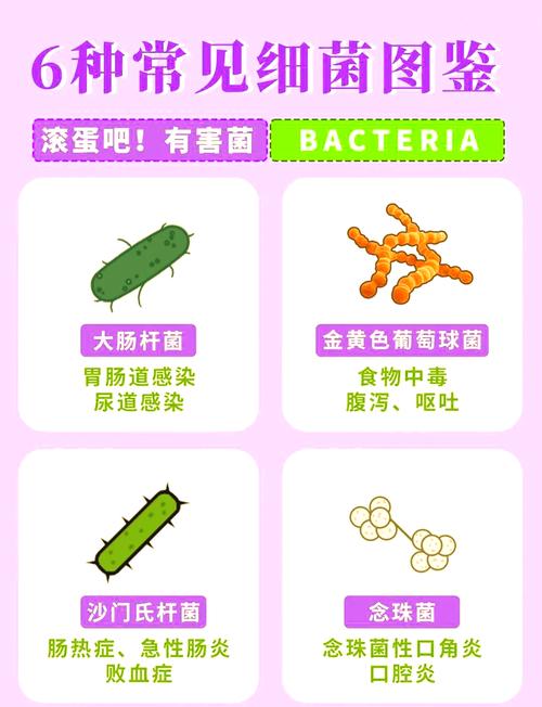 常见食品致病菌杀菌条件对比图