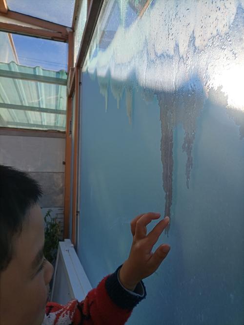 孩子用透明杯子冻的小寒冰花挂在阳台晾衣架上的实拍图